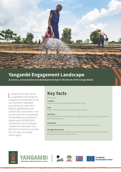 2024 Factsheet: Key facts about the Yangambi Engagement Landscape